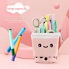 Designer pencil case